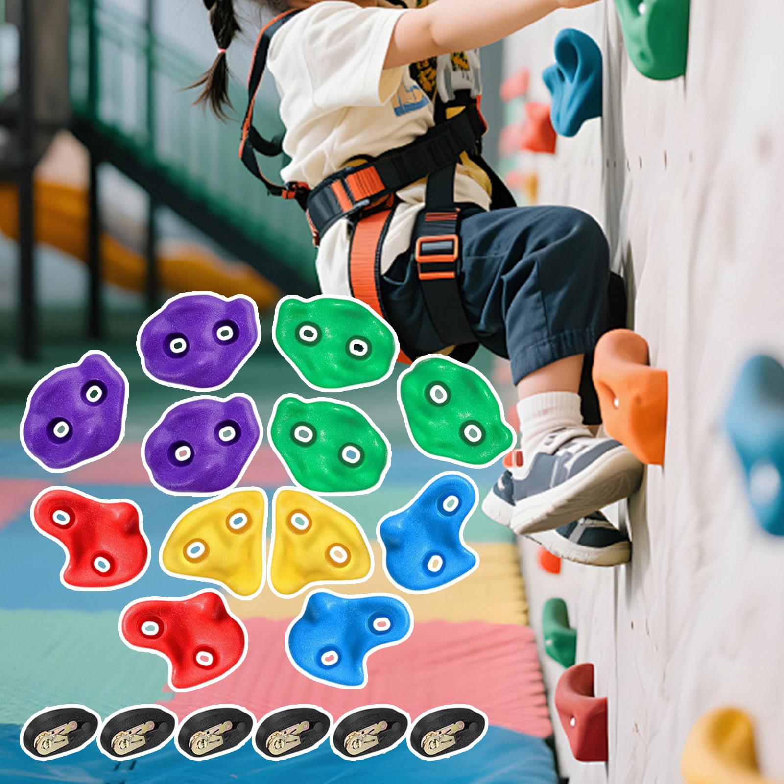 Sprzęt do wspinaczki na drzewa – Outdoor Adventure Store recenzja i cena